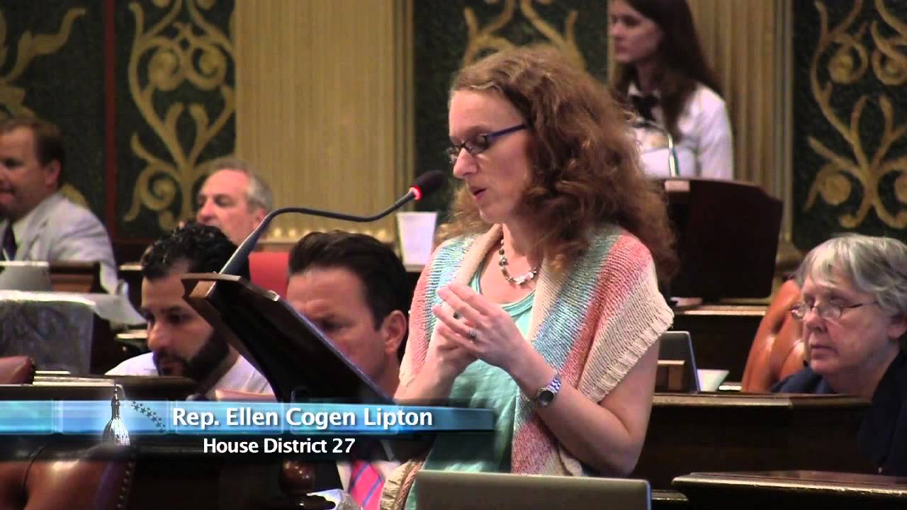 educational research and reviews Rep. Ellen Cogen Lipton speaks on the Dissolution of Financially Distressed School Districts