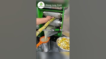 Anh chàng này đang cho cây mía vào máy ép.