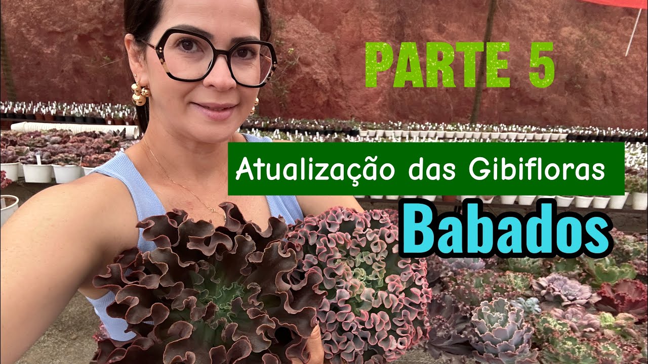 Gibifloras de babados e falando sobre as vendas
