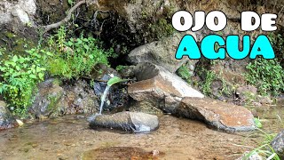 Así brota el AGUA de entre las ROCAS 💧| Así es un OJO DE AGUA 🏞️