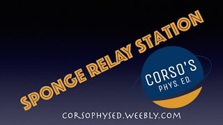 Sponge Relay (Field Day Station)