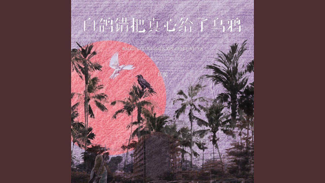 Sleduj 白鸽错把真心给了乌鸦 na YouTube