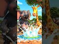 🐘 Elephant’s Water Fight 💦 | Funny 3D Animation 😂 #elephantfunny #3Dcartoon #animationvideo