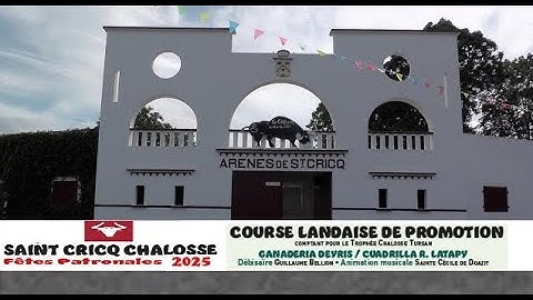 DIRECT 🔴 Course Landaise Fêtes St-Cricq-Chalosse (2e partie)