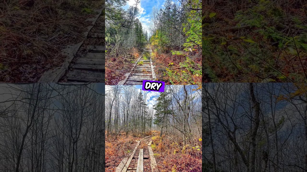 Off Grid Cabin For Sale 99 Acres 150 000 70 Morgan Rd Burnham ME 04922