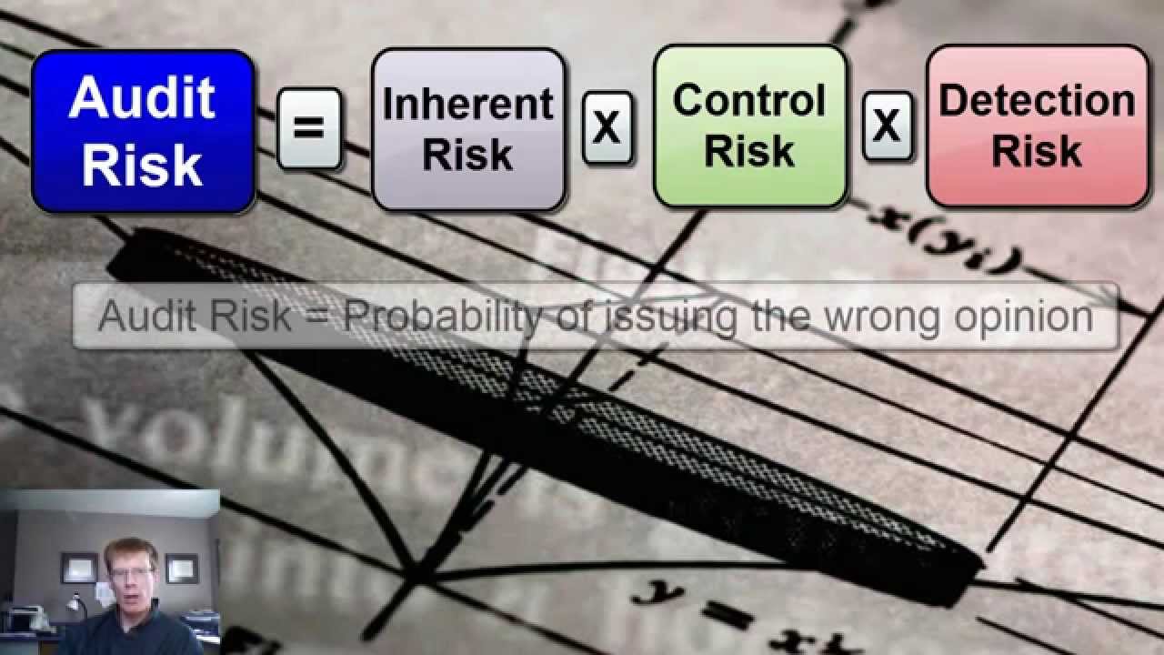Audit Risk Model