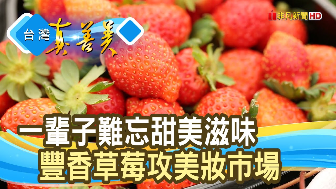 有機草莓的“經濟美學”｜Berrytalk莓說  ｜【台灣真善美】2023.02.19