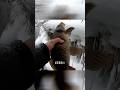 Зимний карп на микроджиг #norstream #fishing #рыбалка #карпфишинг