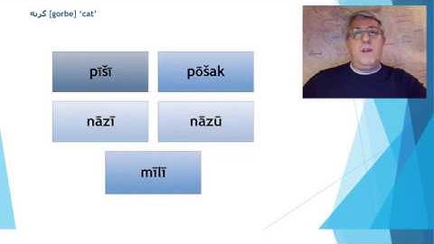 Etymology of Persian GORBE 