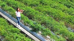 苏彦烨 高雄长庚医院苏彦烨 Success Blognogrp