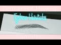 How to Draw Eyebrow Hairstrokes for Permanent Makeup (Tutorial)