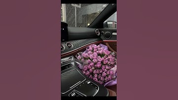 القارئ: هيثم الدخين#اجر #story