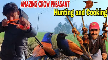 Crow Pheasant Bird Hunting And Cooking!