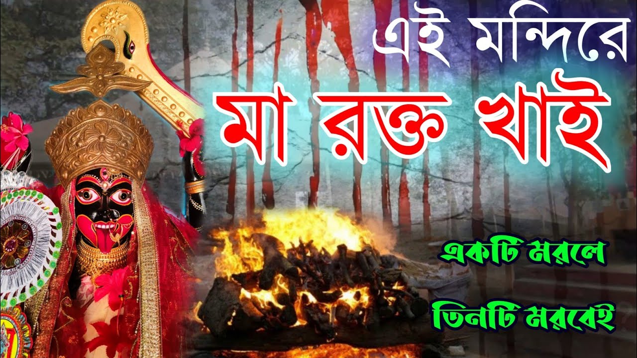 মা কালী স্বয়ং রক্ত খাই, এই মন্দিরে একটি মরলে তিনটি মরবেই | জীবন্ত কালী | Durgapur 