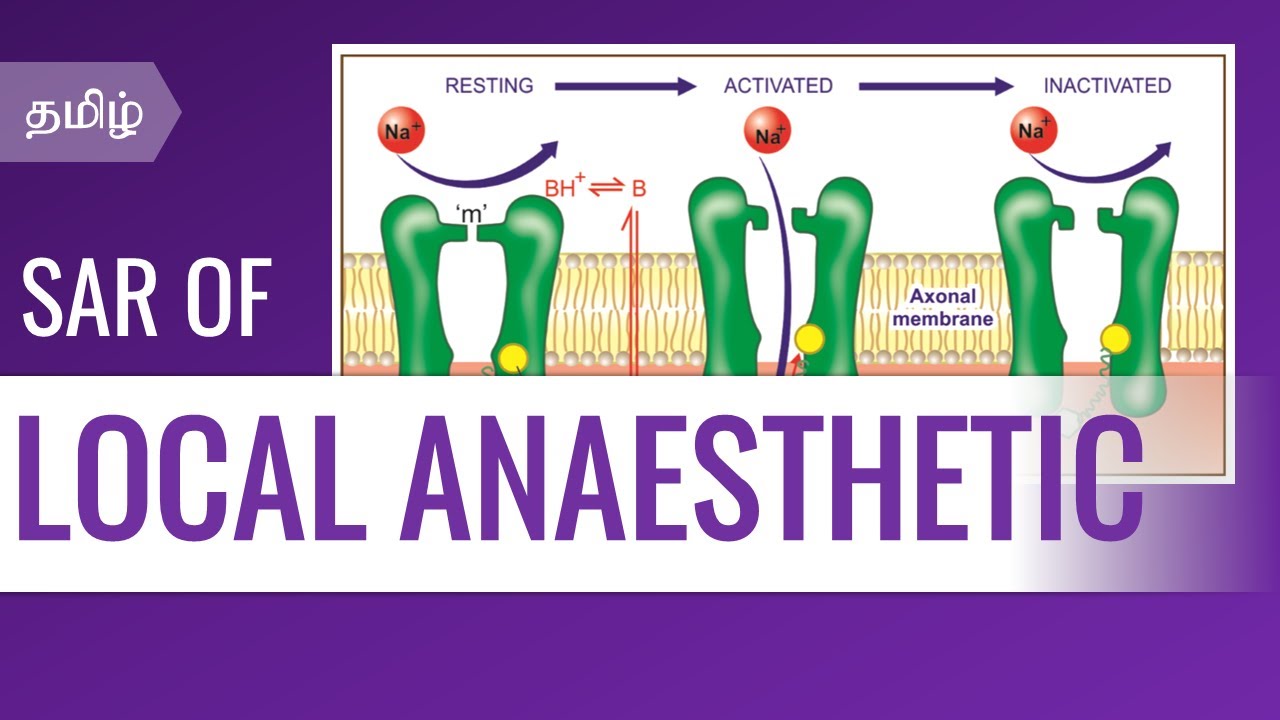SAR of Local Anaesthetic | Medicinal Chemistry | B.Pharm Syllabus - YouTube