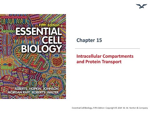 Video: Ce este mișcarea intracelulară?