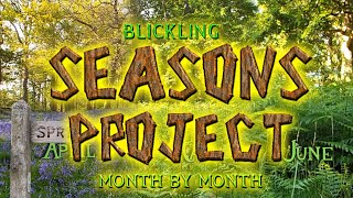 The Seasons Project - Month by Month Woodland Animation