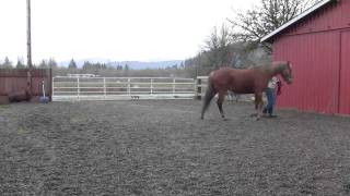 March 2011 Tricks