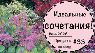 Идеальные сочетания растений для вашего участка | Прогулка по саду в Германии ☘️30 минут релакса☘️