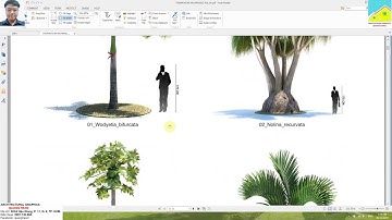 Vray Next 4.2 For 3dsMax 2020_Bài 01: Cách Load & sử dụng thư viện