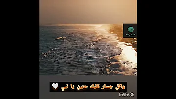 وائل جسار قلبك حنين يا نبي 