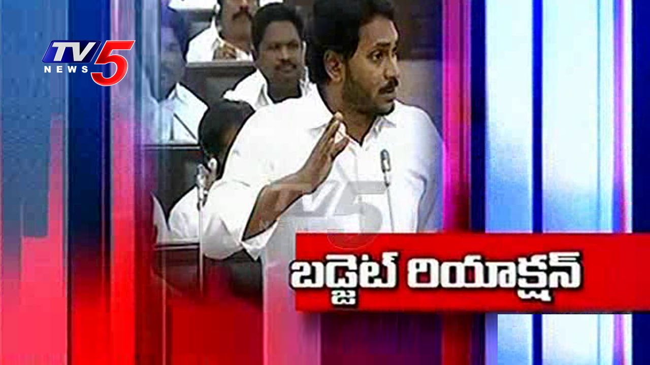 TDP Leaders Delight And YCP Leaders Pout Over AP Budget 2016 | TV5 News