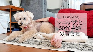 シニア犬とまったりする50代主婦の日常/ひとりお昼ごはん/高校生息子弁当