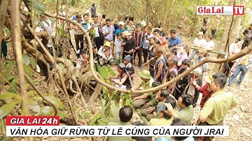 Văn hóa giữ rừng từ lễ cúng của người Jrai #lecungrung