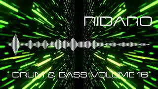 Ridaro - Drum & Bass (Volume 16)