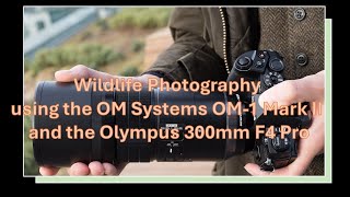 Wildlife Photography using the OM Systems OM1 Mark II and the Olympus 300mm F4 Pro