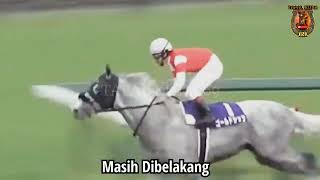 kuda Nakal Paling Belakang 🐎 Juara 1. indahnya Dunia Pacuan Kuda