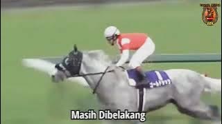 kuda Nakal Paling Belakang 🐎 Juara 1. indahnya Dunia Pacuan Kuda
