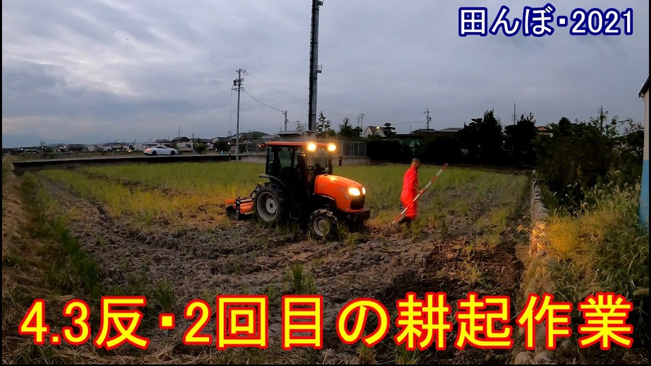 4.3 tan, second plowing work, rice field, 2021, Kubota tractor