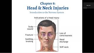 EMS Lecture - Head and Neck Injuries - Introduction to the Nervous System