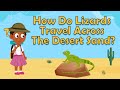 How do lizards travel across the desert  animal facts for kids  facts about lizards