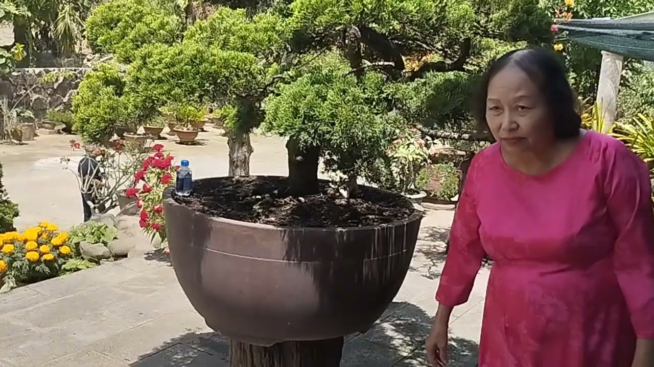 Thăm nhà dì Linh tết 2026