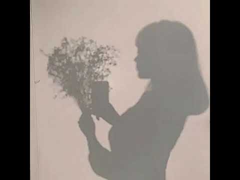 【Aimer 】蝶々結び歌ってみた