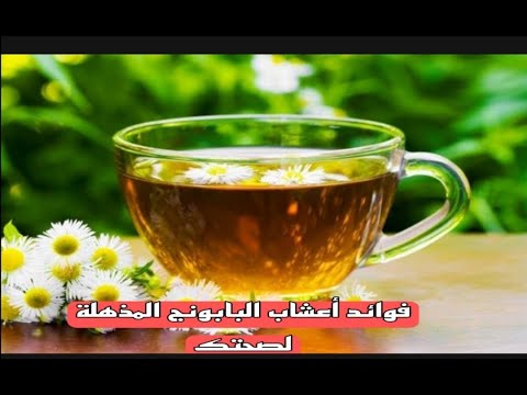 فوائد اعشاب البابونج المذهله  لصحتك.The amazing benefits of chamomile herbs for your health