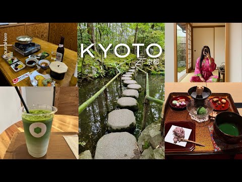 a peaceful & healing week in northern kyoto 🌱 | japan travel vlog