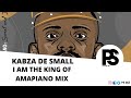 NEW KABZA DE SMALL ALBUM MIX | KING OF AMAPIANO | 2020 | Burna Boy Sha Sha Wiz Kid Dj Maphorisa