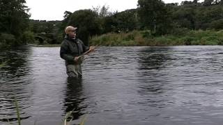 Salmon Fishing Ireland 2016.