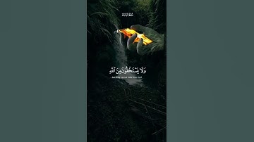 (يستخفون من الناس ولا يستخفون من الله وهو معهم) تلاوة خاشعة من سورة النساء القارئ ياسر الدوسري