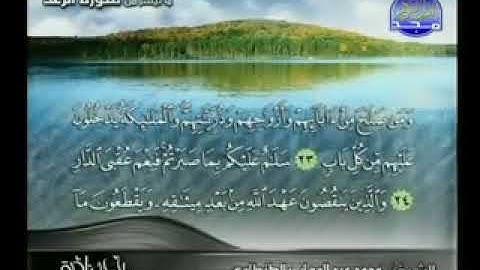 نادرالشيخ محمد عبدالوهاب الطنطاوي آيات من سورة الرعد