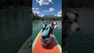 Three Lakes That Are Perfect for Paddling in Banff National Park - #shorts