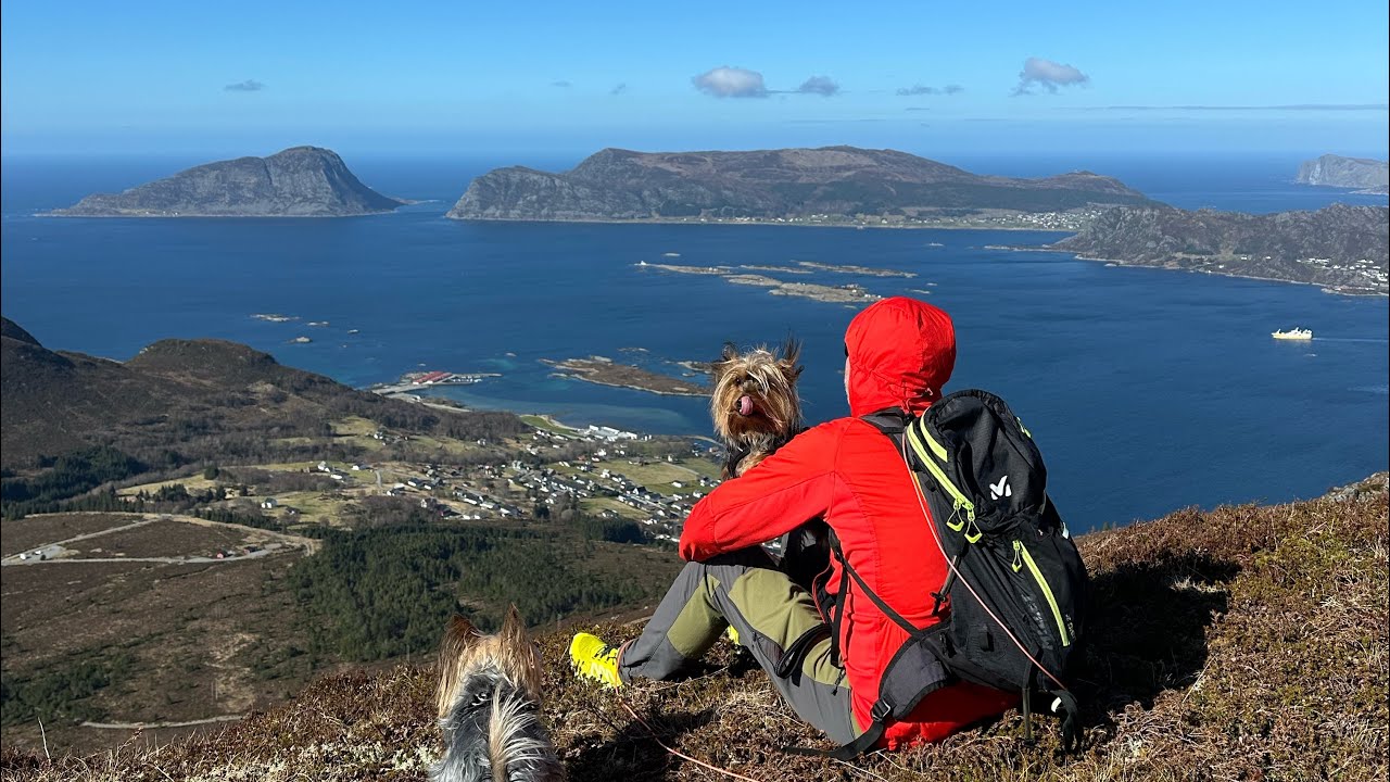 Vanlife Norway ft Moltustranda & Stordal