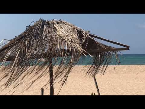 Video: Varför Jag Inte Vill Att Någon Av Er Ska åka Till Tofo, Moçambique