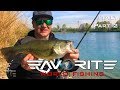 Favorite World Fishing. Карп и басс на один воблер. Стритфишинг в Милане.