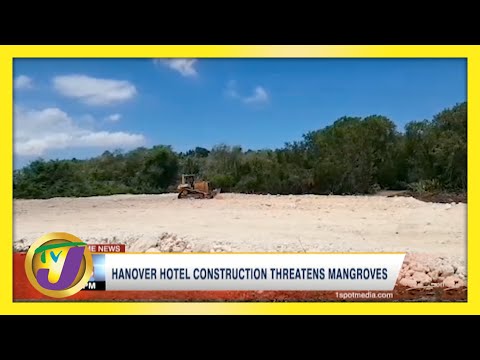 Hanover Hotel Construction Threatens Mangroves | TVJ News