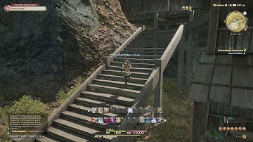 FFXIV - Hematophagic Harassment