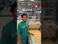 #foodfactory #industrialprocess #biscuitmaking  #satisfyingprocess #viralvideo #ytshorts #youtube